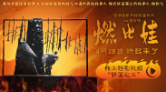 精品久久一级
